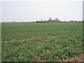 View towards Immingham Grange