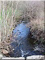 The Muddock River north of Island Moyle Road