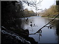 The Taff at Gwaelod-y-garth