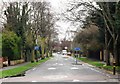 Looking down Redford Avenue