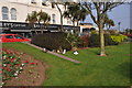 Dawlish : Birds on the grass