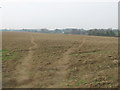 Footpath junction near Martin Mill