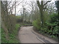 Bridleway - Back Lane