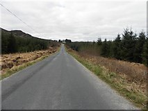 C0332 : Road at Derryharriff Glebe by Kenneth  Allen