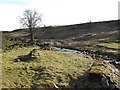 Site of former woollen mill by the River West  Allen