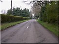 Grenville Road in Shackleford looking west