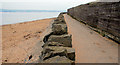 Coastal path near Holywood