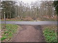 Bridleway crosses Elstead Road