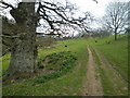 Countryside near Whitcombe Farm