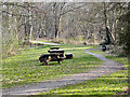 Picnic Area, Risley Moss