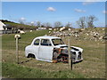 Sheep and an abandoned A30 at Island Moyle