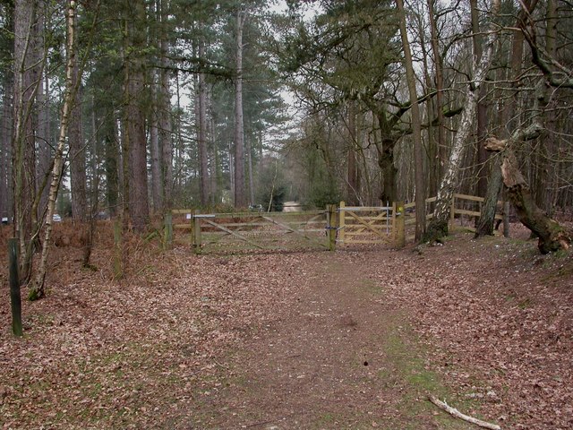 Holt Heath, gate