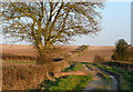 Oxdrove Way approaching Northington Road