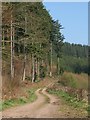 Bridleway in the Taw valley