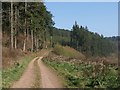 Bridleway in the Taw valley