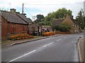 Lower Brailes flowers