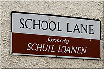 J5767 : School Lane, Greyabbey (2) by Albert Bridge