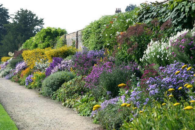 Herbaceous border at Waterperry © Stuart Logan :: Geograph Britain and ...