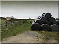 Footpath leading to Highfield Farm