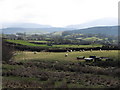 Undulating lowlands north of the Mournes