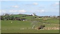 Pasture land west of the Close Road