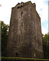 R4070 : Mooghaun Tower House by Roger Diel