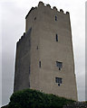 R2990 : Ballyportry Tower House by Roger Diel
