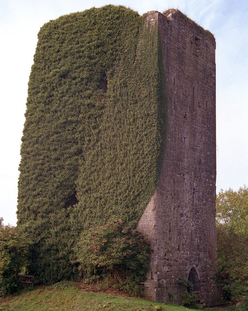 Ballygriffy Tower House