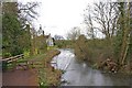 River Coln, Fairford