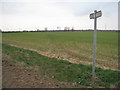 Bridleway near Brocklesby