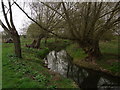 Bow Brook below Court Farm