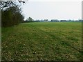 Field, north of The Barn, Upper Minety