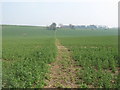 Footpath to Pommeus Lane