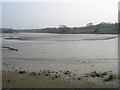 Distant heron on Wootton Creek