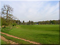 SU7768 : Golf course, Arborfield by Andrew Smith