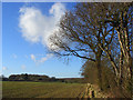 Farmland, Bledlow