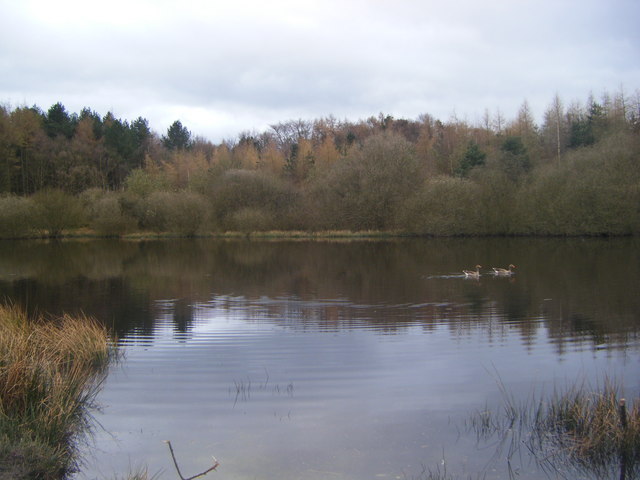 Mill Wood pond