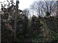 Footpath, Littlemoor