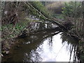 River Amber near Milltown