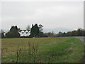 Field by the white house near Rhydd