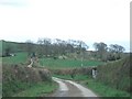 Road to the east of Cleave Cottage