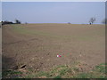 Farmland off Hallgate Lane