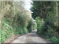 Road east of Nadder Bottom