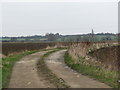 Bridleway follows this track near Childswickham