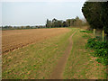 Public footpath west of Salhouse church