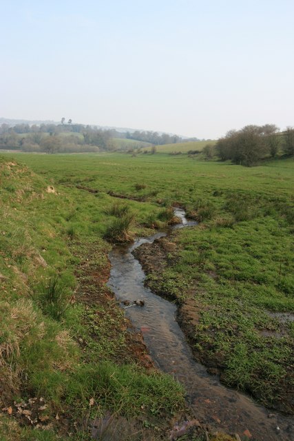 Stream south of Abinger