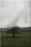 SK2663 : Old oak and a steam engine plume by David Lally