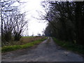 TM3960 : Red Barn Lane, Sternfield by Geographer