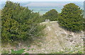 Old Sarum, outer moat