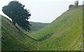 Old Sarum, outer moat